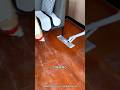 Cleaning Mop Forever, No Tension😆 #100millon #vieralvideo #13million #1000subscriber #youtubeshorts