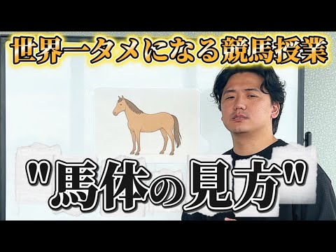 馬の体のシステム10選:健康管理に役立つ解剖学の基礎知識