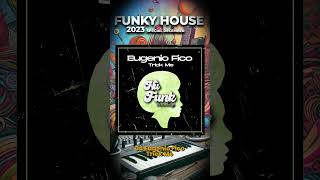 Set Funk House Special December Short Ok dj electronica electronicmusic·megamix