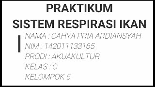PRAKTIKUM IKHTIOLOGI : BAB SISTEM PERNAPASAN (RESPIRASI) IKAN.