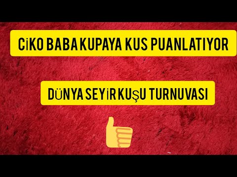 👍KUPA GÜNÜ👍DÜNYA SEYİR KUŞU TURNUVASI👍