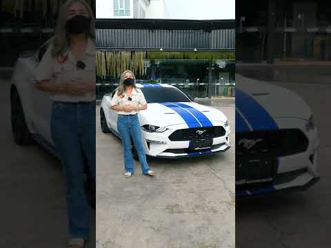 วีดีโอ: หนึ่งวันในชีวิตของทีม Ford EcoBoost