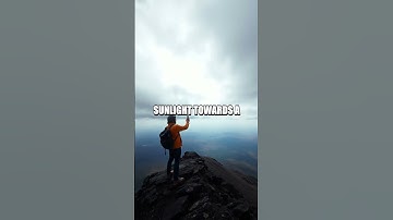 Emergency Signal Techniques for Wilderness Survival