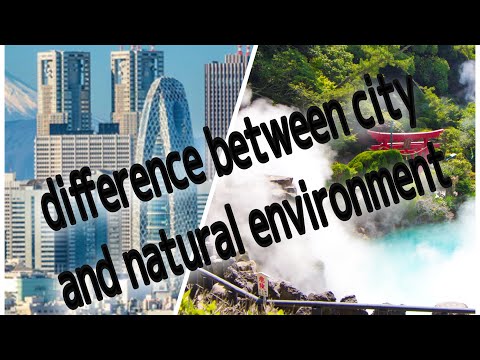 difference between city and natural environment (都市と自然環境の違い）