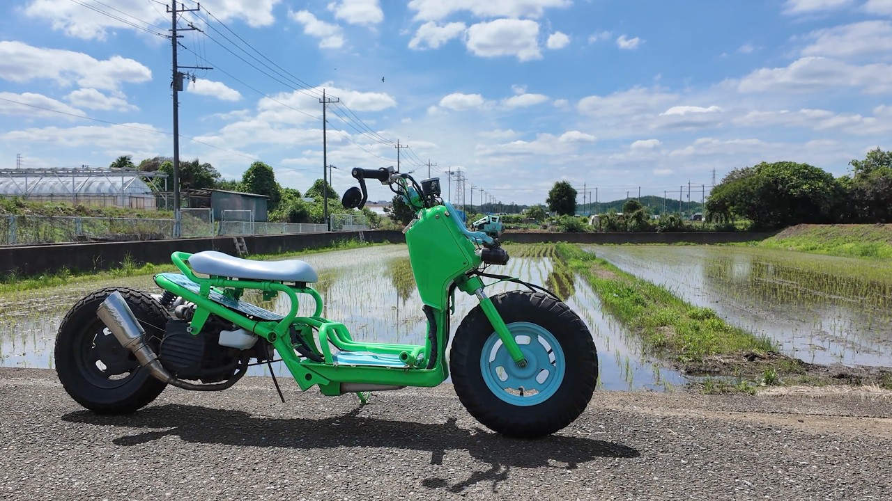 Honda Zoomer (Ruckus) Long Wheelbase & Lowered Custom - Sold
