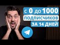 Как набрать первую 1000 подписчиков в Телеграм | 7 БЫСТРЫХ СПОСОБОВ