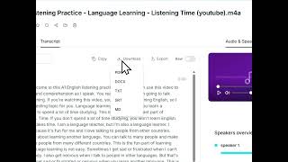 HypeScribe AI Summaries: Turn Any Audio Into Actionable Insights