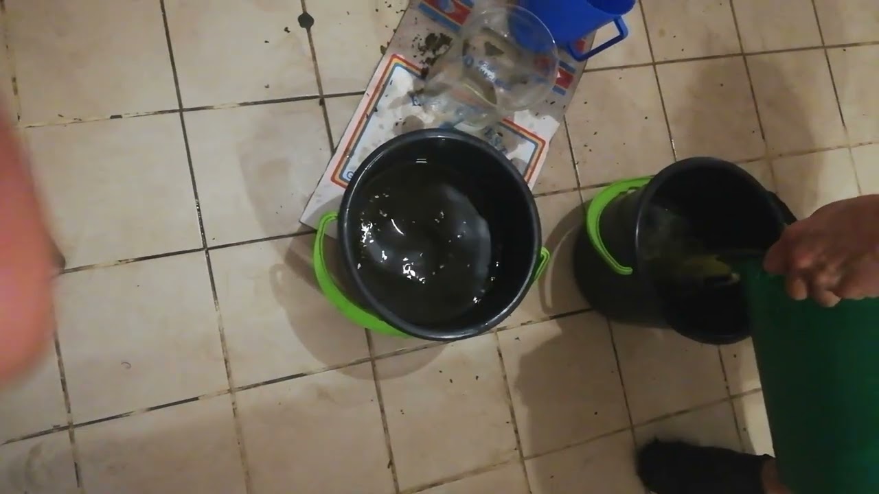 Large scale extraction of ethanol cannabis oil for rick simpson oil for making medicine