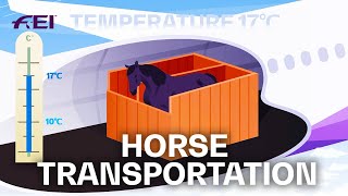 How to travel Horses safely to hot & humid environments | Beat the Heat - Ep. 4