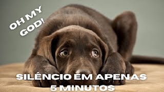 Anti Latido | Silêncio Em Apenas 5 Minutos | Apito Ultrassonico (Anti Bark Dog Whistle)
