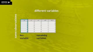PS IMAGO PRO – Adding Variables