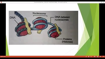 Biology  chapter no :15 Inheritance lecture no 1