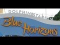 Blue Horizons Full Show  HD May 22 2014 SeaWorld San Diego
