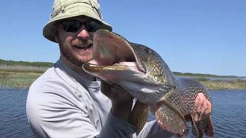 The Nipigon Chronicles 2015