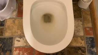 Brand new OVE Lotus toilet flushes