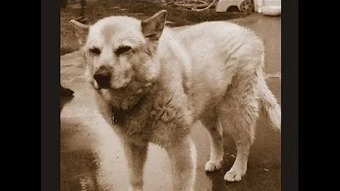 The Story So Far - Songs Of (FULL EP 2014)