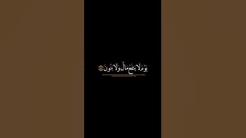 ولا تخزني يوم يبعثون|ماتيسر من سورة الشعراء القارئ محمد هشام كروما شاشة سوداء القرآن الكريم