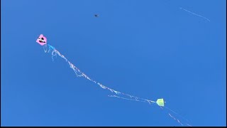 Festival De Pipas Na Quebrada, Jardim Robru Relo Atrás De Relo No Céu Azul