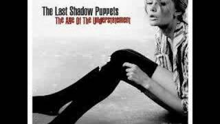 Video thumbnail of "The last shadow puppets - My mistakes were made for you"