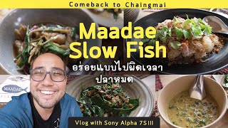 มาเด สโลว์ฟิช Maadae Slow Fish Kitchen ปลาสดจากทะเลส่งตรงถึงเชียงใหม่ : Vlog with Sony Alpha 7S III
