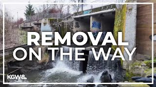 Metro grant funds Kellogg Dam removal to benefit habitat and community