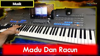 Video thumbnail of "Madu Dan Racun 🎹 Keyboard-Cover 🎹 mit Tyros 5 🎹 CAM"