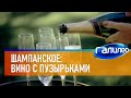 Галилео 🥂 Шампанское: вино с пузырьками