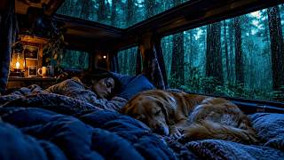 Peaceful Rainstorm ASMR 🌧️ Cozy Van, Soft Bed & Sleeping Dog screenshot 4
