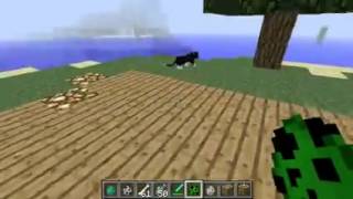 Minecraft   Ocelot vs Wolf