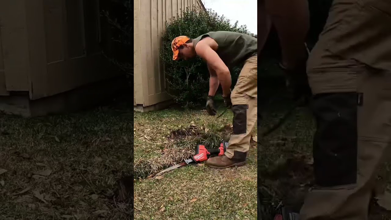 EASY HACK To REMOVE ANY Bush Lawncare Shorts Bushes Yardcleanup Grasscutting Lawncarelife