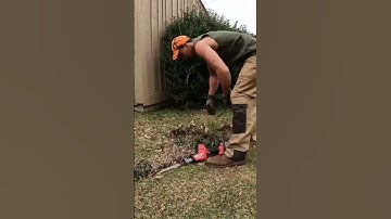 EASY HACK To REMOVE ANY Bush #lawncare #shorts #bushes #yardcleanup #grasscutting #lawncarelife