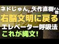 【ネドじゅんさん】右脳文明に戻る 縄文復活か【矢作直樹さん】🌟エレベーター呼吸法 左脳過剰を弱めると...🌸