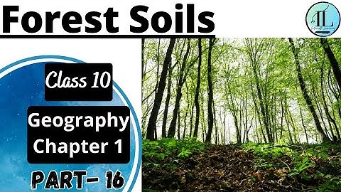 Forest Soils | Classification of Soil |Resources and Development Class 10 Geography Chapter 1