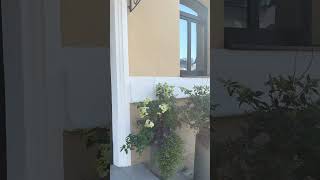 Лучший ресторан татарской кухни Умай