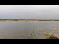 Каслание / Оленеводы переправляют нарты через реку