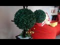 KOLEKSI BONSAI BOLA # Diva florist