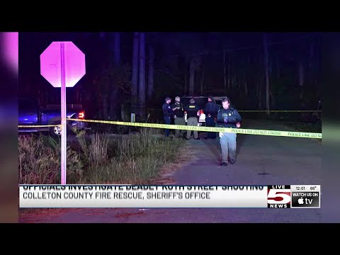 Mugshots Colleton County Sc