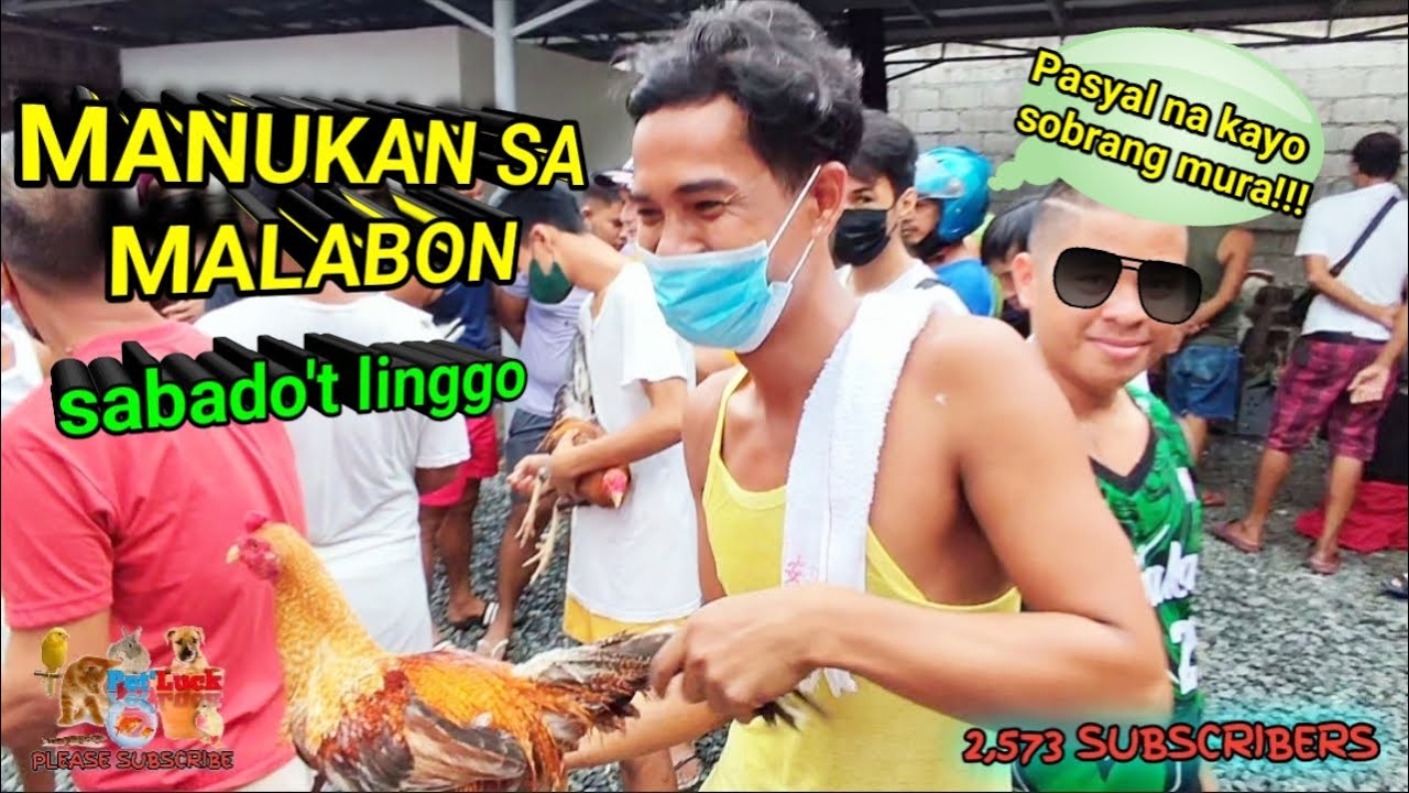 MURANG MANUKAN SA MALABON HULONG DUHAT PET MARKET TUWING SABADO AT LINGGO