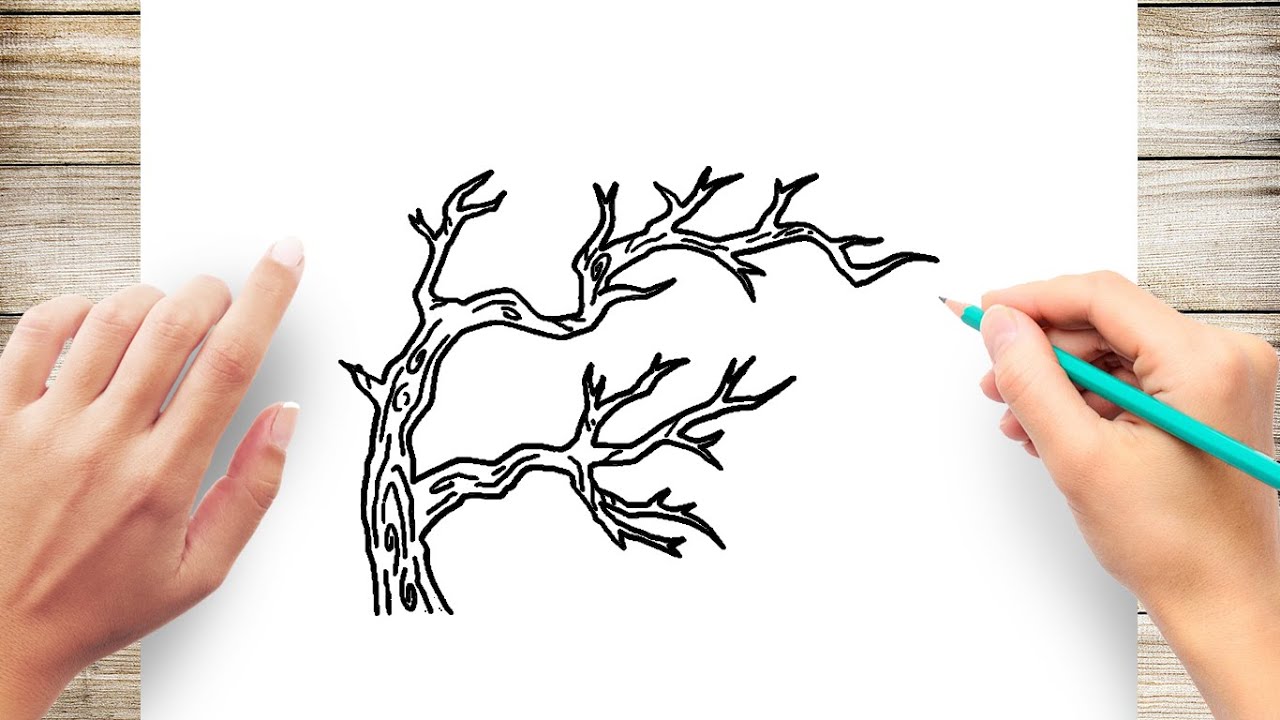 How To Draw Branches Step By Step Youtube