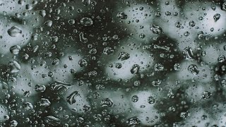 [ Within the puddle ]