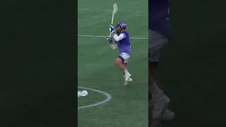 CREASE DIVE
