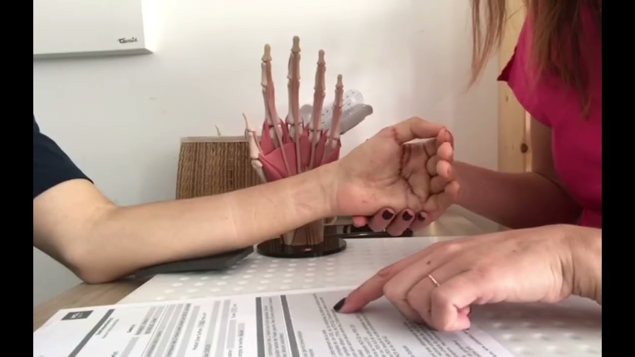 Explications section tendons fléchisseurs au patient