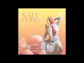 Katy Perry - Chained To The Rhythm (Extended Dub version)