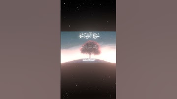 سورة التوبة|40|القارئ:#محمد_اللحيدان #قران #quran  #قران_كريم #تلاوة #تلاوة_هادئة #آية #تلاوة_خاشعة