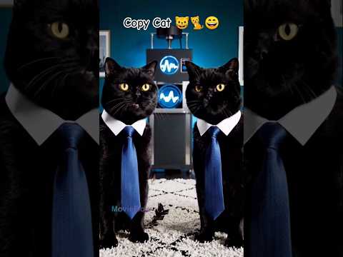 Copy Cat 😺😄🐈😁 #copycat #aicats #aianimals #cartooncat #funny
