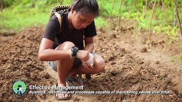 Green List of Protected and Conserved Areas Programme in Malaysia