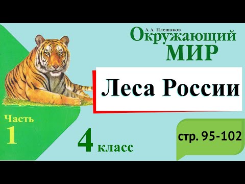 Леса России. Окружающий мир. 4 класс, 1 часть. Учебник А. Плешаков стр. 95-102