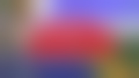 Amazon Trail 2 first playing