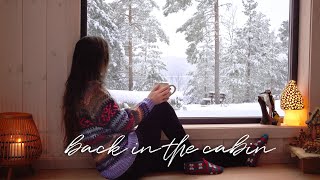 back in the winter woods - my cabin silent vlog (slow life at the cottage)