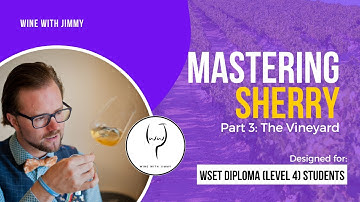 Mastering Sherry for WSET Level 4 (WSET Diploma): Part 3 - The Vineyard